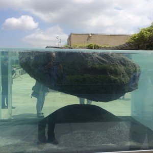 Huyghe roof garden installation, the aquarium element