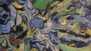 Detail of van Gogh's Irises, Metropolitan Museum, NYC